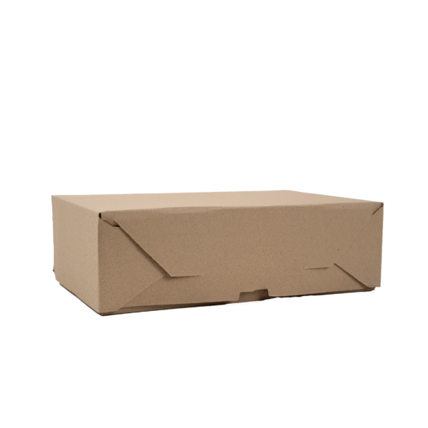 CAJA MULTIUSO DELIVERY & TAKE AWAY GRANDE 25X17X9 CM
